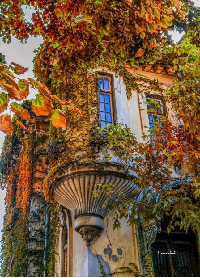 Charming Place Cotroceni Bukarest Exterior foto