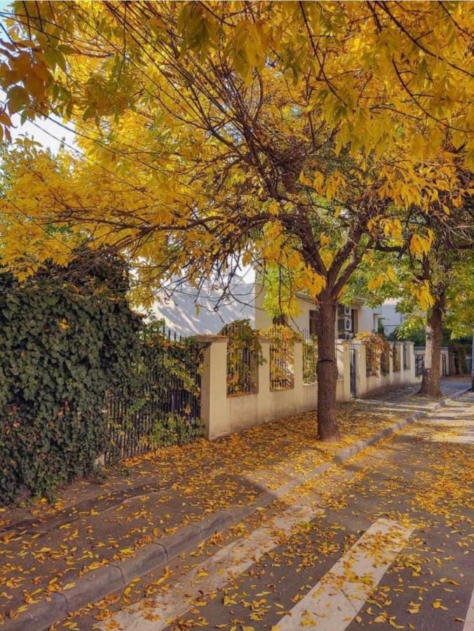 Charming Place Cotroceni Bukarest Exterior foto